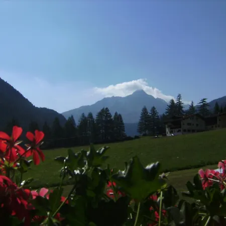 아파트 Alois Arnold